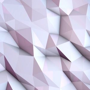 Meet your Posher, Ansley